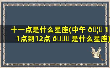 十一点是什么星座(中午 🦋 11点到12点 🐕 是什么星座)